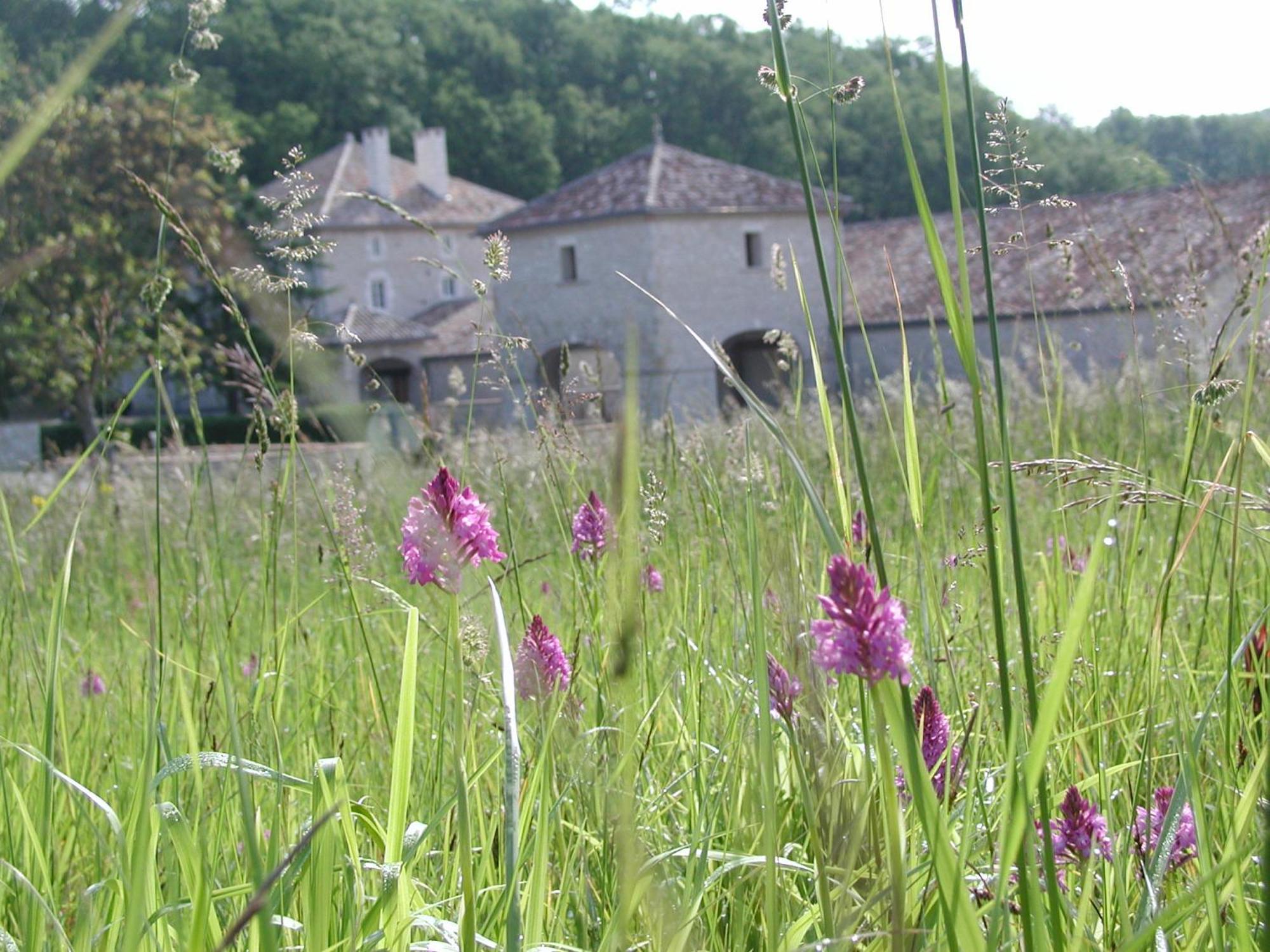 Chateau Lecusse - La Grande Roche - Hotel, Spa, Boutique & Restaurant Broze Bagian luar foto