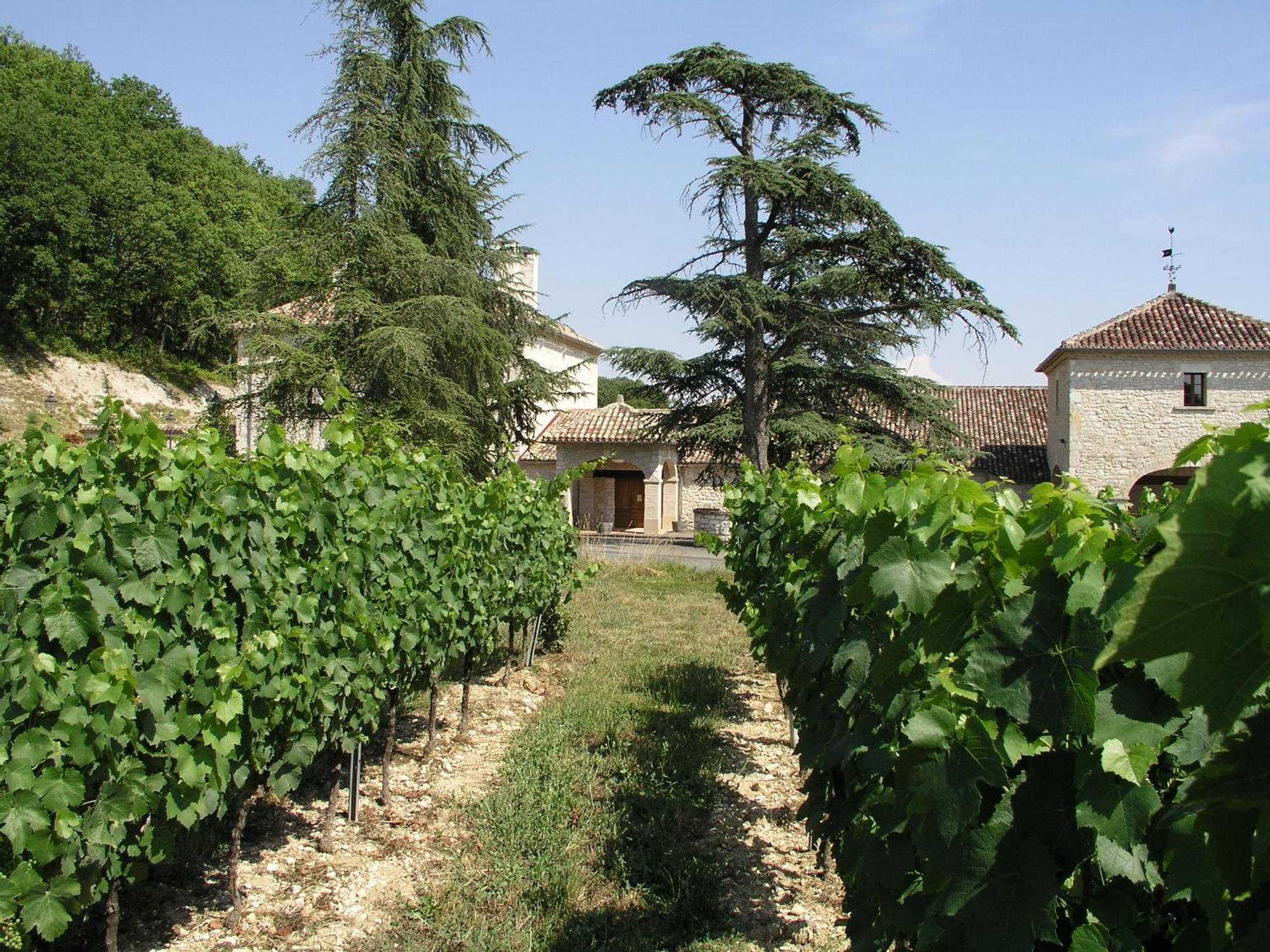 Chateau Lecusse - La Grande Roche - Hotel, Spa, Boutique & Restaurant Broze Bagian luar foto