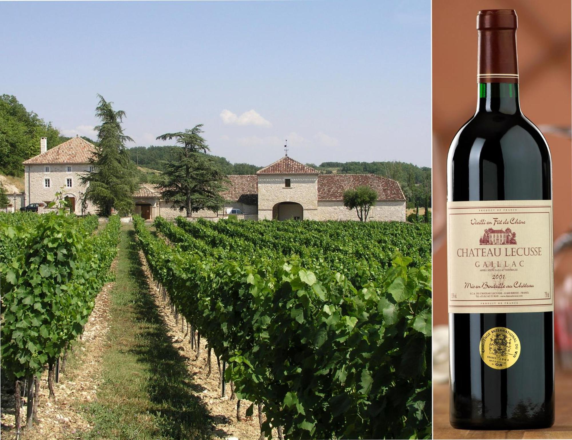 Chateau Lecusse - La Grande Roche - Hotel, Spa, Boutique & Restaurant Broze Bagian luar foto